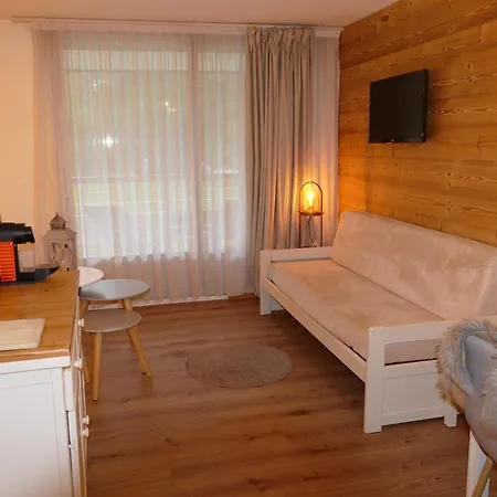 Au Pied Des Pistes Avec Parking, Terrasse Et Casier A - Fr-1-546-54 Apartment Les Deux Alpes